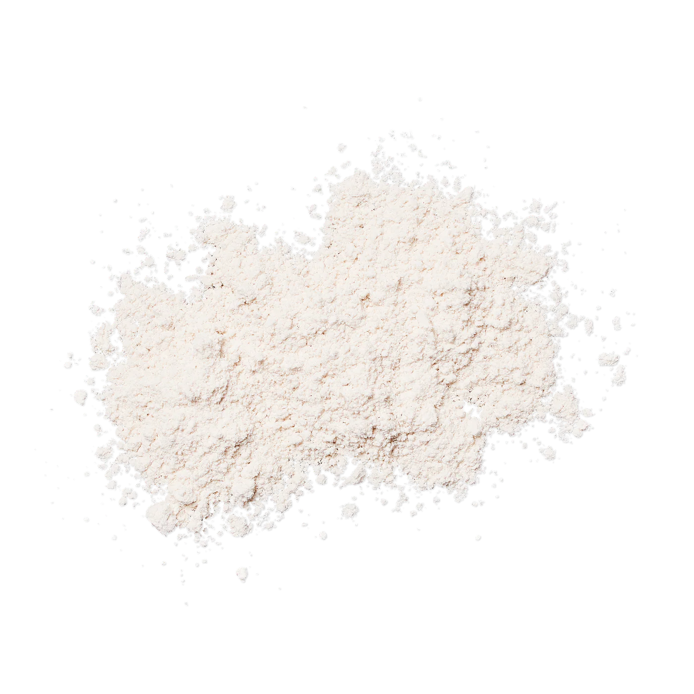 Sunforgettable Total Protection Sheer Matte Sunscreen Brush